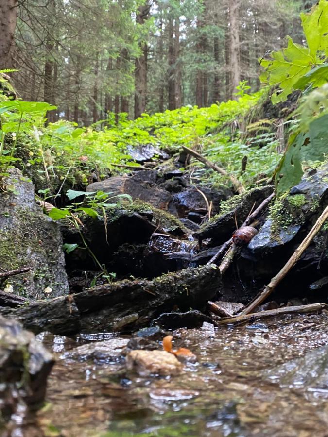 Cihlářka Apartmán 109 - Pec pod Sněžkou Černá Hora Černý Dŭl Esterno foto